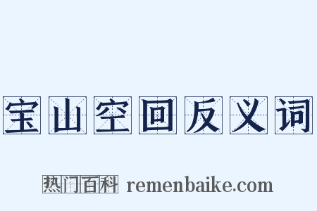 宝山空回反义词是什么意思的图片